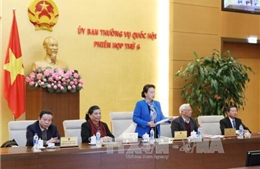 Phân công chuẩn bị phiên họp thứ 8 UBTVQH